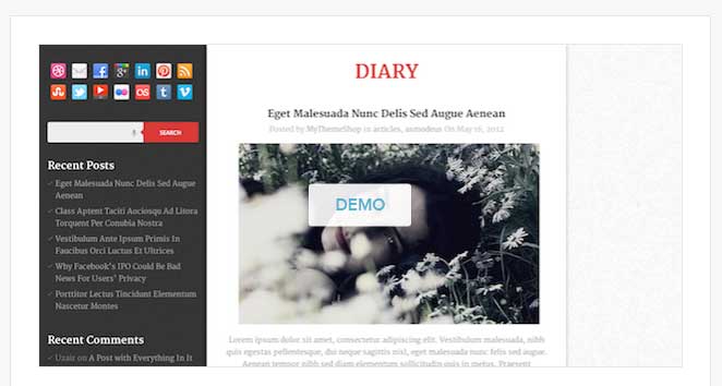 diary wordpress theme