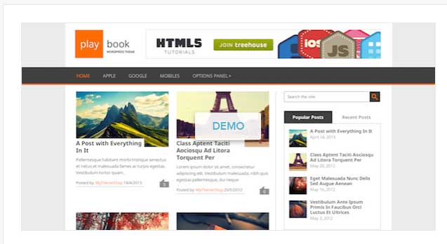 playbook wordpress theme