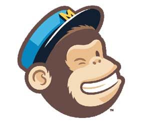 mailchimp email subscribers